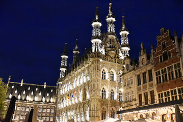 Fototapeta na wymiar Hôtel de ville de Louvain la nuit. Belgique