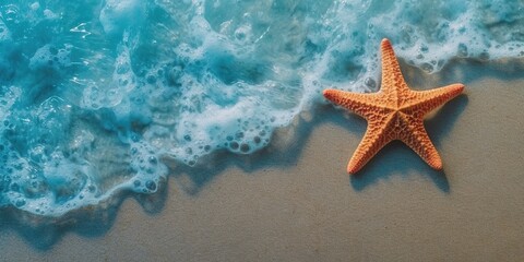 Fototapeta na wymiar starfish on the beach copy space background