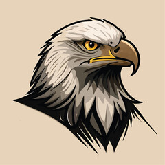 american bald eagle