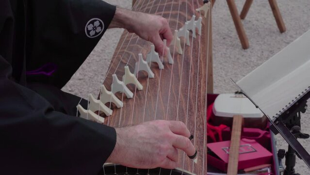 Male hands tune Japanese koto instrument