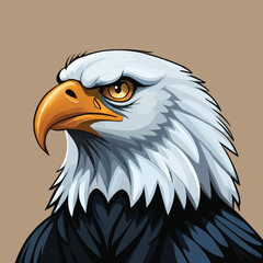 american bald eagle vector