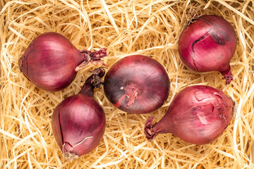 Several organic blue onions on wood shavings, macro, top view.
