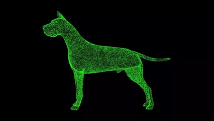 3D dog on black background. Object made of shimmering particles. Pets care concept. For title, text, presentation. 3d animation.