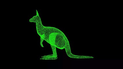 3D kangaroo on black background. Object made of shimmering particles. Wild animals concept. For title, text, presentation. 3d animation.