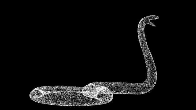 3D Snake Cobra on black background. Object made of shimmering particles. Wild animals concept. For title, text, presentation. 3d animation.