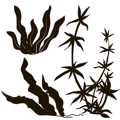 Seaweed black silhouettes, grass, leaves set isolated on white background - stock vector  © olianat