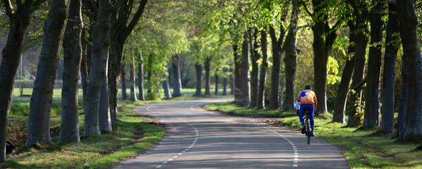man on racing bicycle on road between beech trees in spring - 599949335
