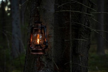 an old kerosene lamp in a dark forest