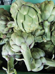 Close up of artichoke on market stand. California, USA