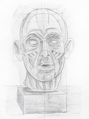 Human head, male. drawn with a simple pencil, illustration.