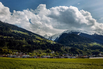 alpine meadow in the mountains