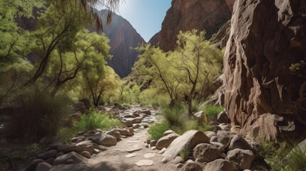 Canyon Oasis