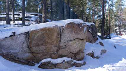 funny looking stone, winter in the woods