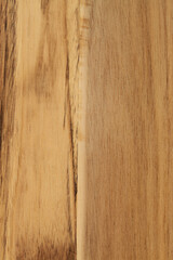 Mango tree wood texture with rings of different colors closeup, natural background