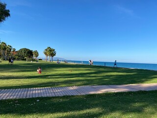 people rest on a picturesque green lawn near the sea