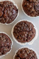 Homemade Dark Chocolate Muffins on a gray background, top view. Overhead, from above, flat lay.