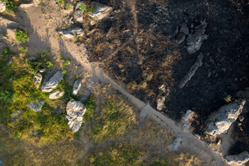 Aerial view of half burnt forest after the fire. Burned trees and grass. Climate change. Drone shot.