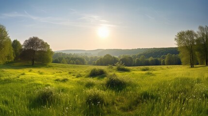 Obraz premium Landscape in summer with trees and meadows in bright sunshine Generative AI