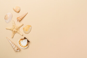 Sea shells on color background, top view