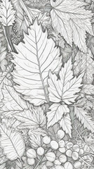 A black and white drawing of leaves and berries. Generative AI. Coloring book pattern