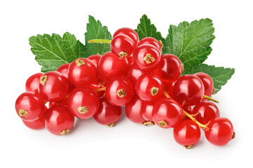 Red currant berry isolated on white background