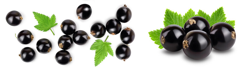 black currant with leaves isolated on white background . Top view. Flat lay pattern