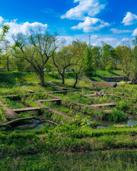 Piękny wiosenny krajobraz w Warszawskim parku