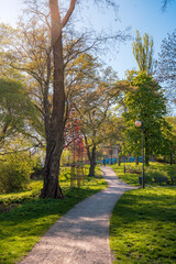 Słoneczny wiosenny dzień w miejskim parku, Warszawa Park Stawy Kellera  - obrazy, fototapety, plakaty
