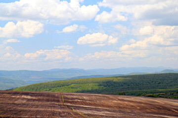 Fototapeta na wymiar Countryside landscape with plowed and sown fields and trees under the sky with clouds in the vicinity of the village of Royak in Bulgaria 