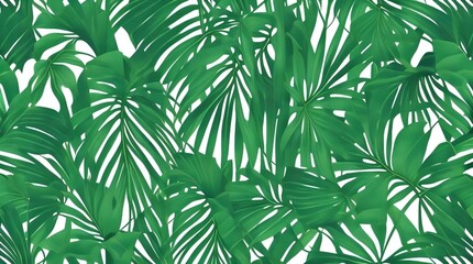 palm leaves background 