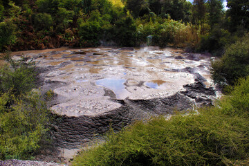 Eruption of the geyser. Pohutu geyser.Rotorua, New Zealand. 18 Oct. 2011