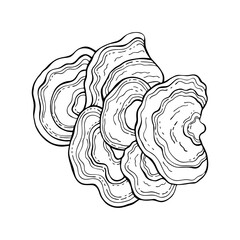 Obraz premium Mushrooms black outline on white background vector element for wrapping paper, postcards, textile