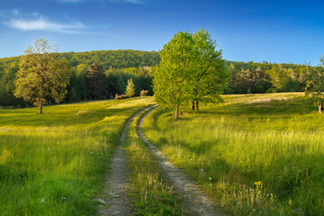 landscape with river