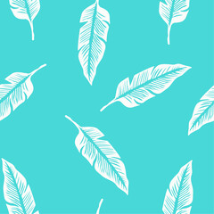 pattern decorative sprig, feather, white feather on a blue background silhouette