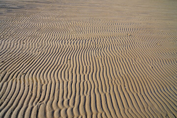 Obraz premium Line wave on sand beach after sea water receded.