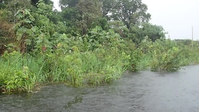 Im Regen auf dem Amazonas