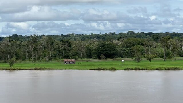 Auf dem Amazonas Fluss
