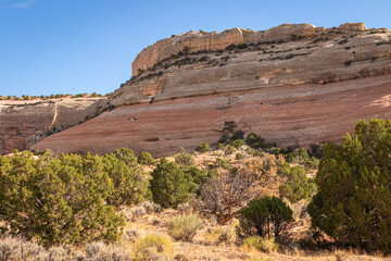Fototapeta na wymiar Sandstone mesa and vegetation in the arid desert landscape environment of Utah in the southwest United Stated with a cloudless blue sky.