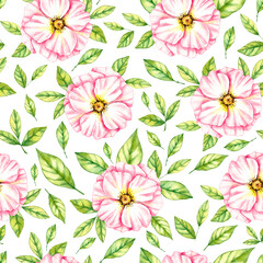 Watercolor pattern of wild rose flowers on a white background