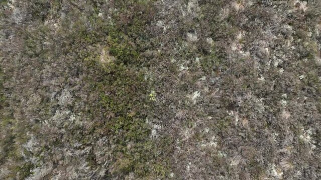drone footage of a peat bog in ireland
