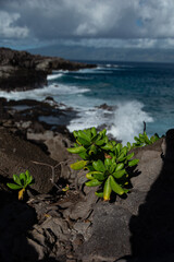 Maui Trip. Ocean shots