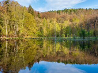 Fototapeta na wymiar Beautiful Calm Lake surrounded by green forest in Spring