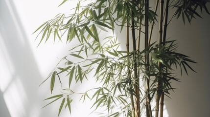 Tranquil bamboo background with shadows on a plain wall. Generative ai