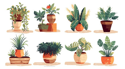 Houseplants in flowerpots on white background illustration set, Vector illustration.