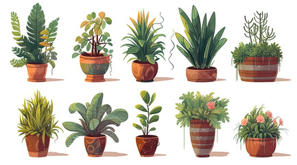Houseplants in flowerpots on white background illustration set, Vector illustration.