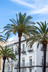 Cathedral square in historical city center in Cadiz, Spain on April 30, 2023