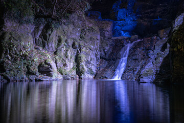 三重 - 【赤目四八滝　幽玄の竹あかり】