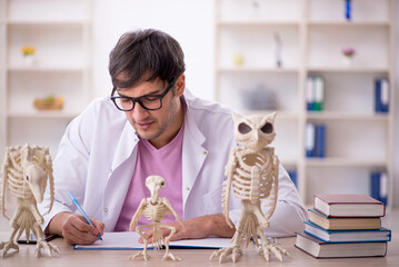 Young male paleontologist examining ancient animals at lab