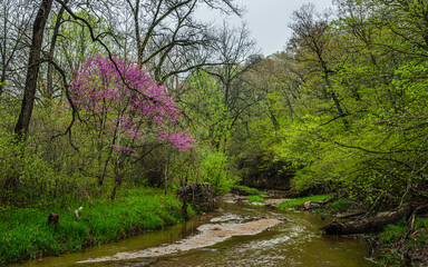 Midwest Iowa State Ledges State Park Landscape in Spring