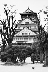 Osaka castle at Osaka in Japan